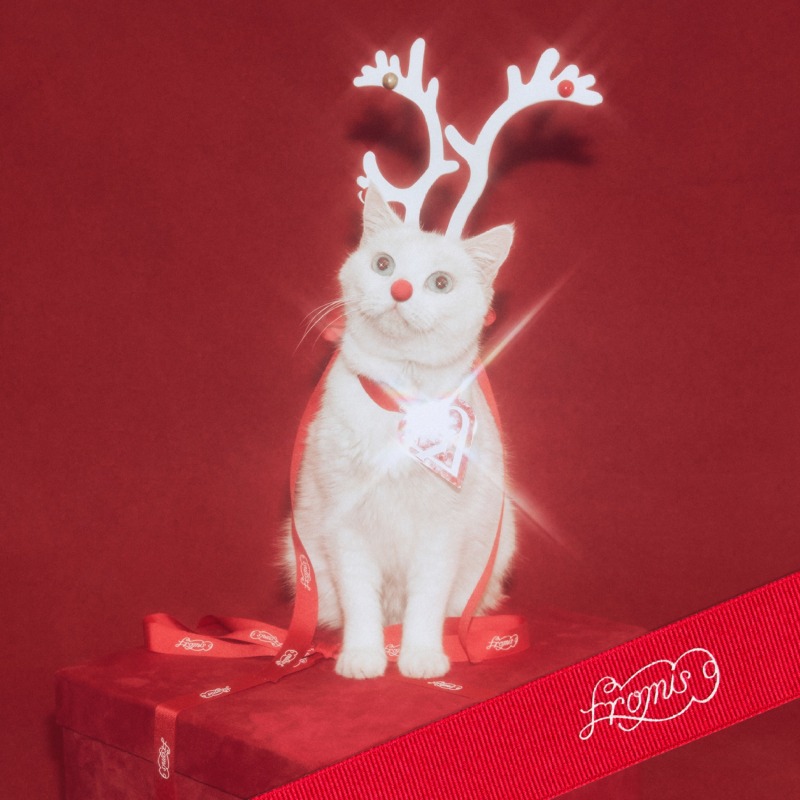 프로미스나인 사진 (4).jpg